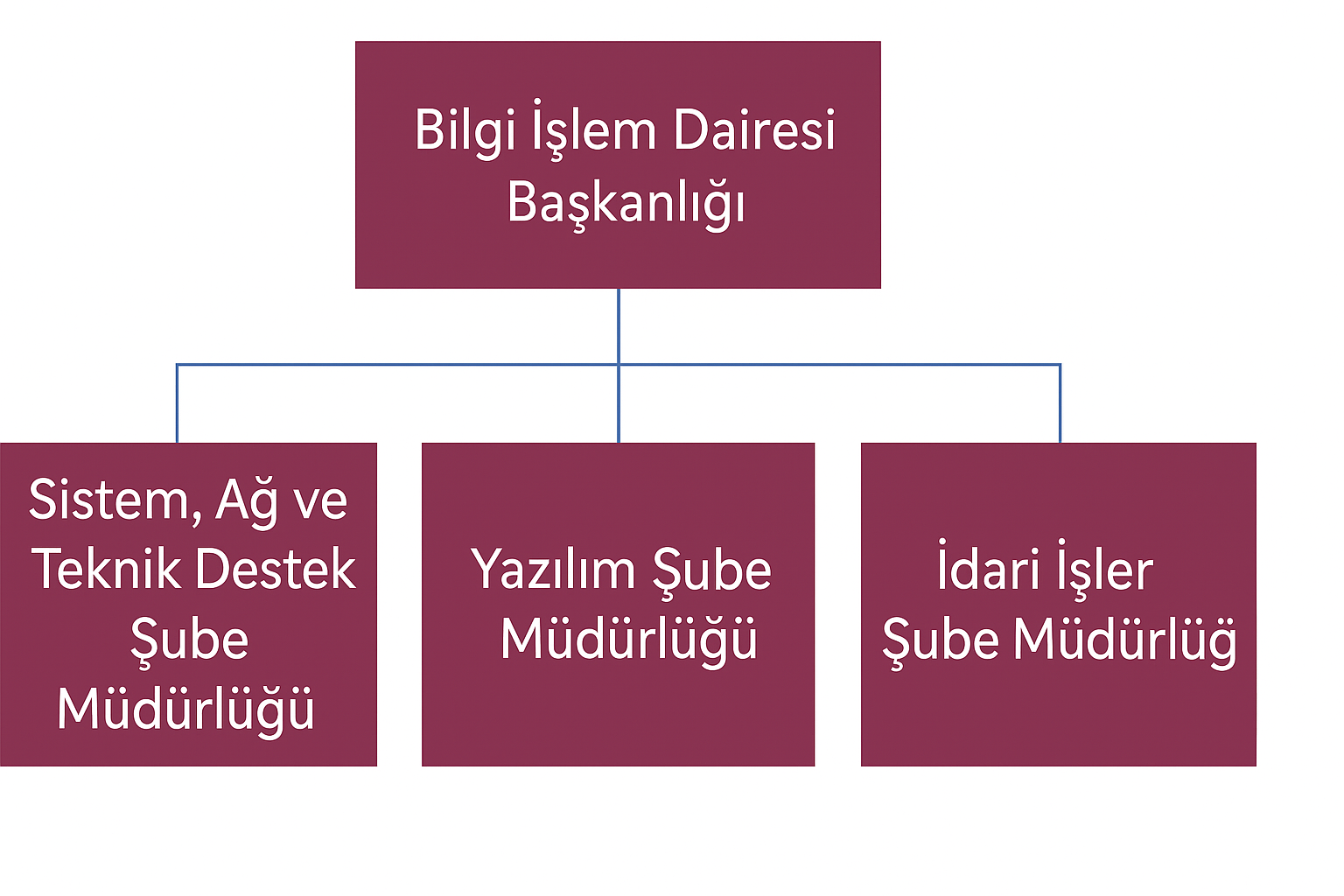 organizasyon Şeması
